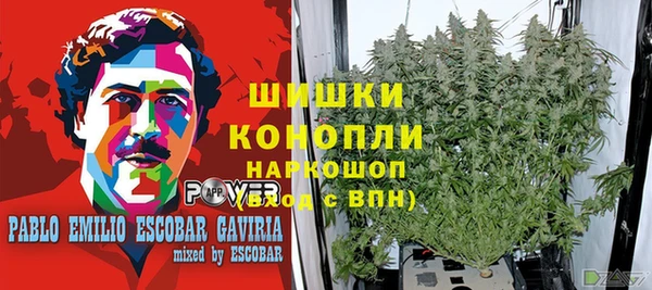 круглые Белокуриха