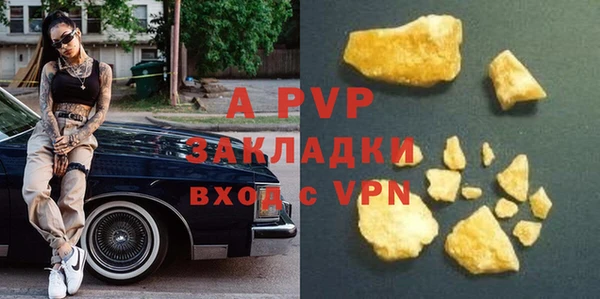 круглые Белокуриха
