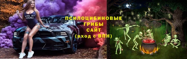 круглые Белокуриха
