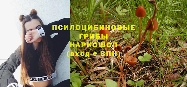 круглые Белокуриха