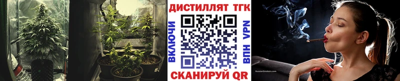 ТГК THC oil  наркота  Михайлов 
