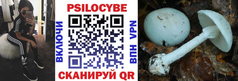купить закладку  Михайлов  hydra ТОР  Галлюциногенные грибы Psilocybine cubensis 